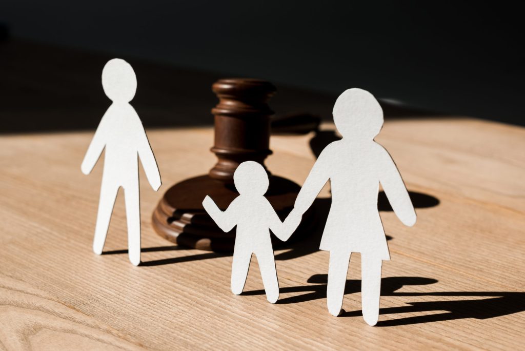 Protecting Parental Rights During Custody Disputes